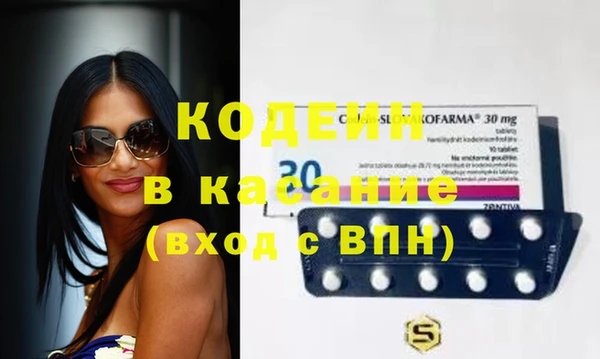 меф Вяземский