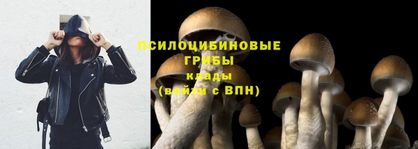 таблы Вязники