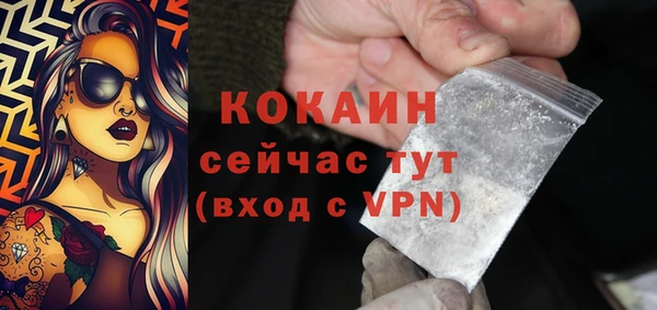сатива Волосово