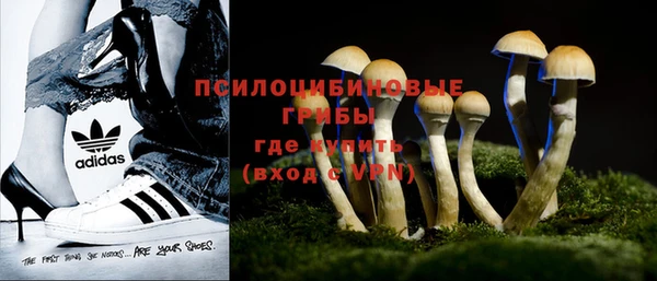меф Вяземский